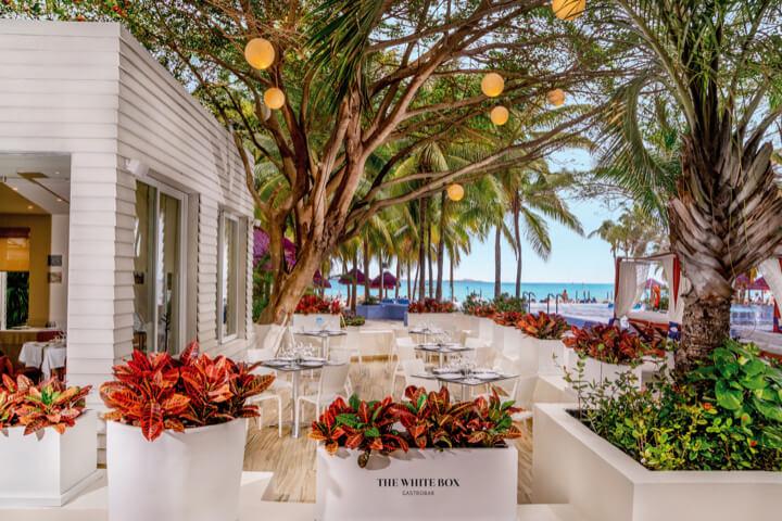 The White Box Restaurant