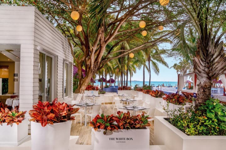 Photo of The White Box Restaurant